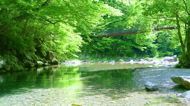 栃木県那須塩原市　木の俣園地を流れる木の俣川と巨岩吊り橋