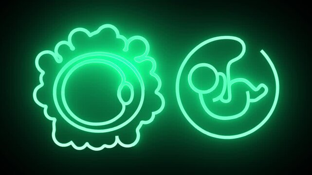 Green neon icons of human embryo and ovum. Medical biology icons for clinical reproductive laboratory health tracking. Digital neon icons animation for gynecology science.