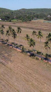 Vertical Aerial Shot of Parra Road Goa India