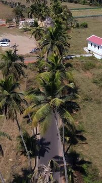 Vertical Aerial Shot of Parra Road Goa India