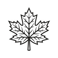 Obraz premium Black and white maple leaf illustration with detailed veins.