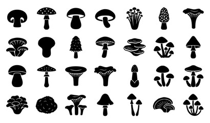 Mushroom icon set black vector fungi silhouette collection © MstKamrun