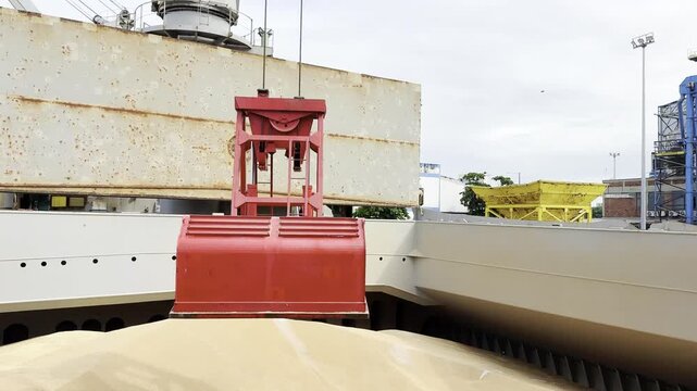 discharging wheat from vessel in port by ship crane and grab to hopper on berth