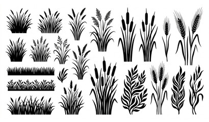Fototapeta premium Black silhouette grass and plant icons set
