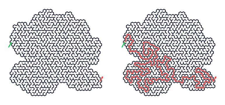 Complex labyrinth maze with solution path isolated on transparent background PNG educational logic puzzle game with entry and exit route for kids learning problem solving and brain training