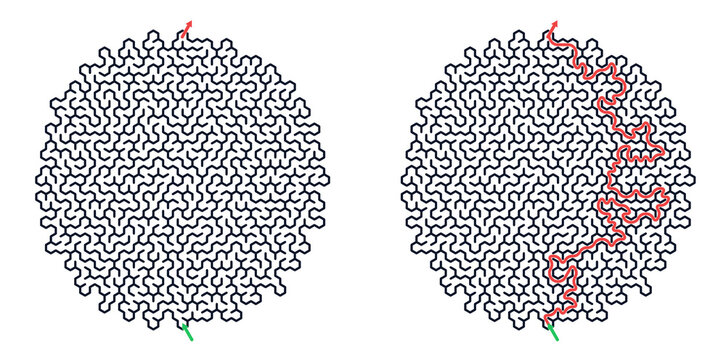 Complex labyrinth maze with solution path isolated on transparent background PNG educational logic puzzle game with entry and exit route for kids learning problem solving and brain training