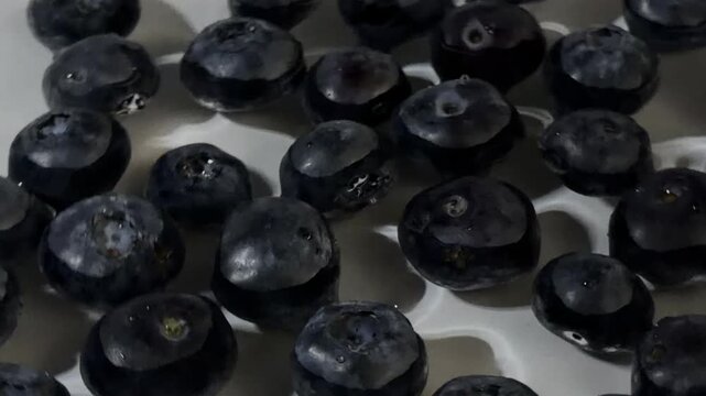 Fresh blueberries arranged in a white container, showcasing their rich color and texture, with water droplets glistening on the surface in a well-lit environment