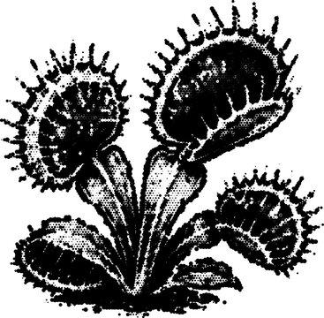 Halftone vector dotted retro grunge venus flytrap transparent gothic design