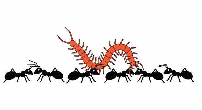 Ants confronting an orange centipede in a simple illustration