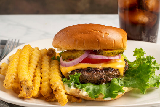 cheeser  burge  with a side of french fries