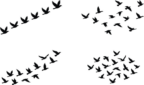 Flying bird flock silhouette collection with migration formations isolated on light background for decorative vector illustration