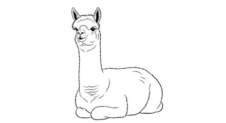 Fototapeta premium Cute Cartoon Alpaca Character Relaxing in a Simple Line Art Style