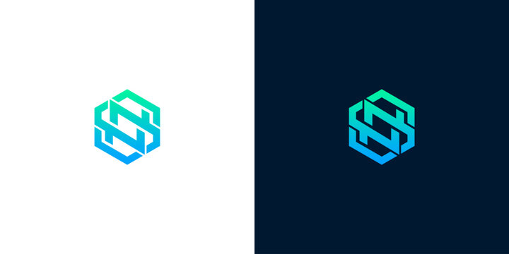 Dynamic abstract logo design featuring intertwined 'S' letters within a hexagonal shape, presented with a modern blue-green gradient, symbolizing technological progress and digital connectivity