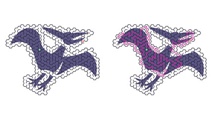 Two pterosaurs soar gracefully against a stark white background. One is dark purple, the other vividly patterned with magenta. Their wings span wide, limbs poised for flight © LarisaM