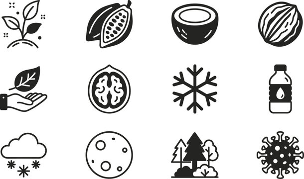 Healthy Superfood and Winter Nature Vector Solid Icon Set Featuring Cacao Pods Walnut Shells Coconut Halves Sprouting Plants and Snowflake Weather SymbolsHealthy Superfood and Winter Nature Vector Sol