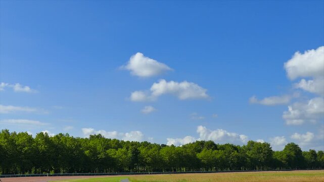 青空と新緑のマロニエの木々