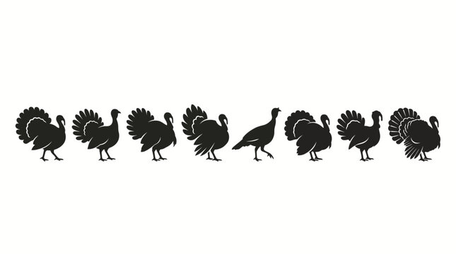 Collection of eight black silhouette illustrations of turkeys showing different postures, tail feather arrangements, and walking poses arranged in horizontal row