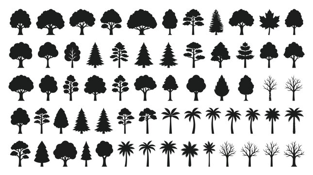 Collection of diverse tree silhouette icons including deciduous, coniferous, palm, and leafless forms arranged in grid pattern for design and education
