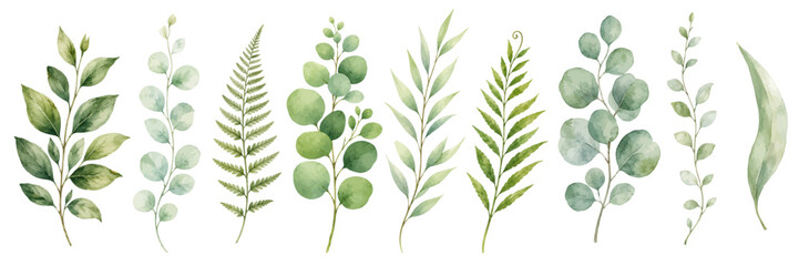 A fresh watercolor collection of green leaves featuring delicate greenery branches, leafy twigs, and soft botanical foliage illustrated in a natural elegant floral style. © liana