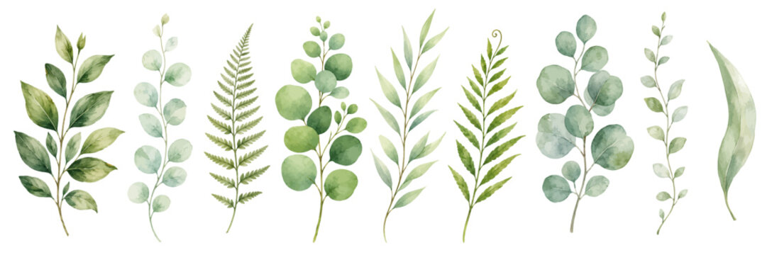 A fresh watercolor collection of green leaves featuring delicate greenery branches, leafy twigs, and soft botanical foliage illustrated in a natural elegant floral style.