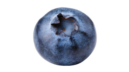 Single ripe blueberry with star-shaped calyx © Lubos
