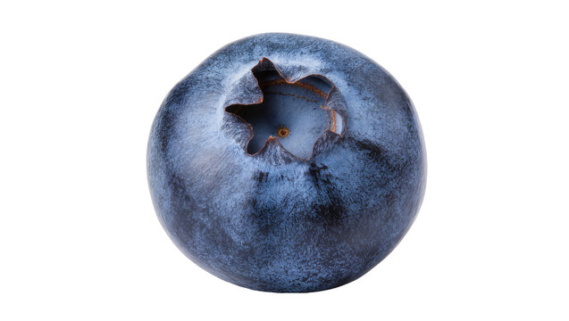 Single ripe blueberry with star-shaped calyx