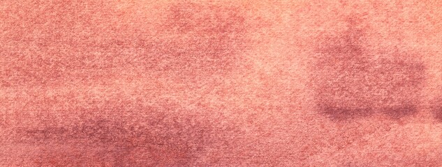 Fototapeta premium Coral abstract watercolor texture background with purple gradient surface, macro. Rose and peach art backdrop
