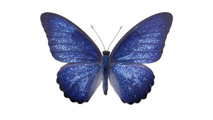Sparkling blue butterfly with detailed wings © Lubos