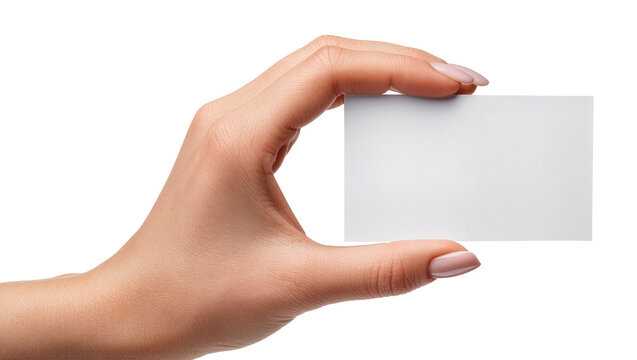 Female hand holding blank white card