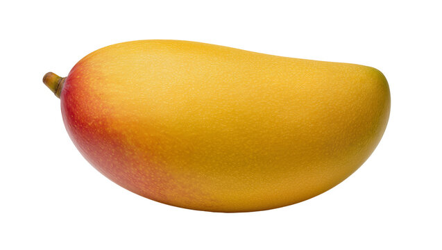Ripe yellow and red mango fruit with stem