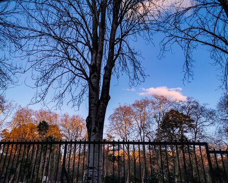 Entrada al Parque de Castrelos al atardecer. Vigo. Galicia. Espa&ntilde;a.