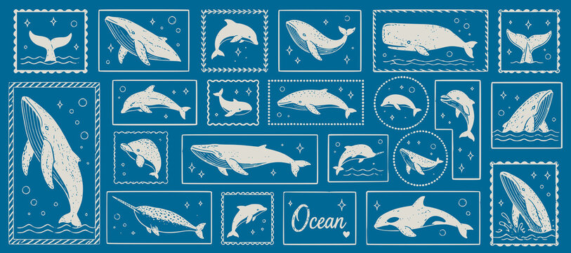 whale and dolphin ocean life illustration collection with different whale species marine animals