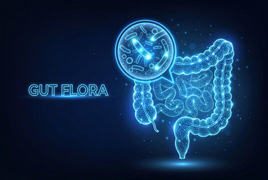 Digital human gut microbiome anatomy with glowing bacteria visualization