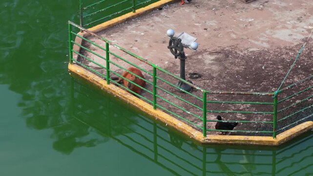 Capybara resting beside Ykua Pyt&atilde; lagoon railing in Villarrica, Paraguay.