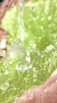 Splash of lime juice. Filmed on a high-speed camera at 1000 fps. High quality FullHD footage