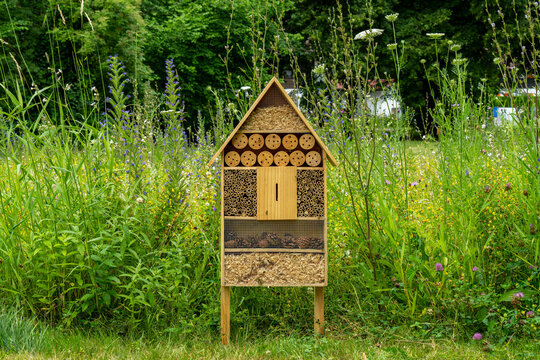 Insect hotel in front of natural green plants in the spa park in Oberstdorf, Germany