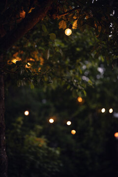 Evening garden ambiance with fairy light. Idyllic evening atmosphere. Vertical background with short depth of field.
