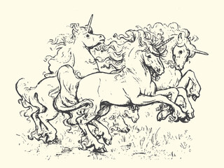 Three unicorns running together in a meadow hand-drawn sketch style mythical creature illustration equestrian fantastic imaginary animalia heraldry monochrome engraving artistic stylized © bbilfunk