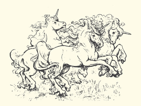 Three unicorns running together in a meadow hand-drawn sketch style mythical creature illustration equestrian fantastic imaginary animalia heraldry monochrome engraving artistic stylized