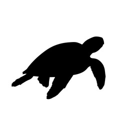 Fototapeta premium Silhouette of a serene turtle gliding gracefully through water with minimalistic style