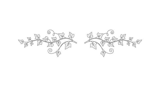 Elegant Silver Ivy Vine Divider with Swirls and Leaves