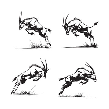Set of handdrawn illustrations of jumping oryx antelopes
