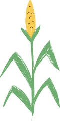 Fototapeta premium Corn Stalk Sketch Crayon Style