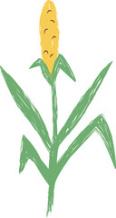 Fototapeta premium Corn Stalk Sketched Crayon Style