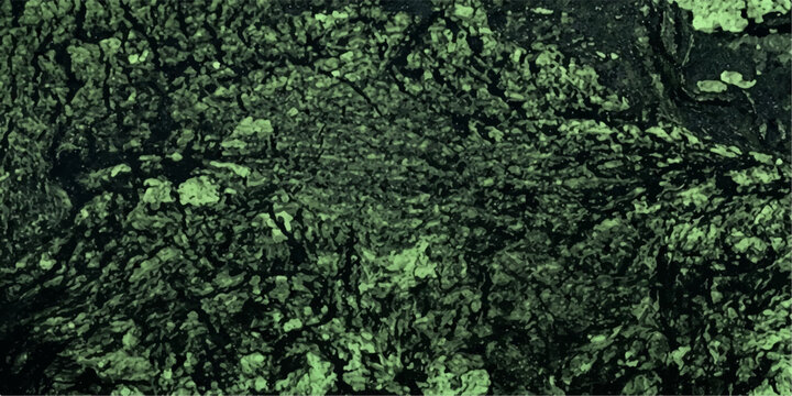 A close-up macro photograph reveals the intricate, textured surface of tree bark, showcasing a mosaic of deep cracks and rough patterns, bathed in an eerie green light.