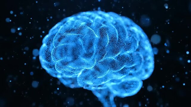 3d rendered illustration of a brain