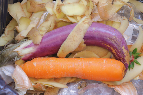carrots, eggplants, food scraps, pieces of vegetables thrown in the trash