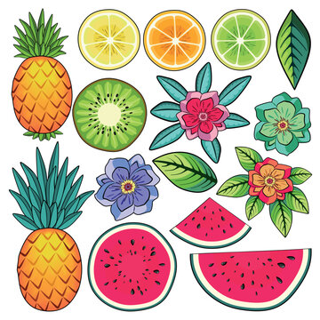 Summer Fruits Food Nature Set of 15 icons Isolated on white - Vector editable EPS
