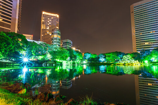 光りの世界　2024年 5月