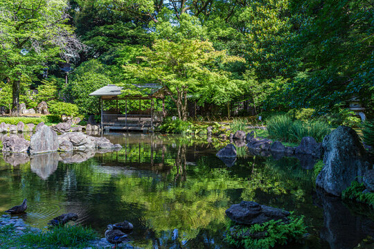緑の風景 2024年 6月
